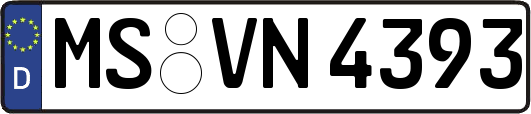 MS-VN4393