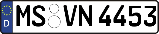 MS-VN4453