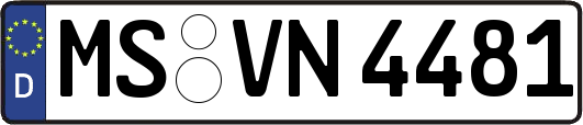 MS-VN4481