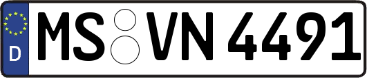 MS-VN4491
