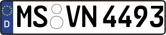 MS-VN4493
