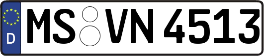 MS-VN4513
