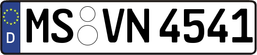 MS-VN4541