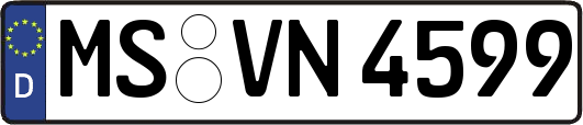 MS-VN4599