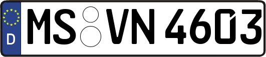 MS-VN4603