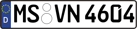 MS-VN4604
