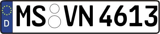 MS-VN4613