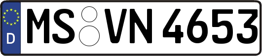 MS-VN4653