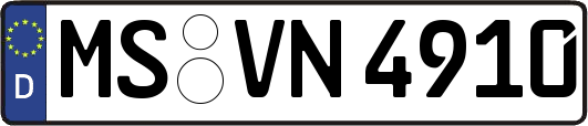 MS-VN4910