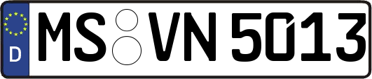MS-VN5013