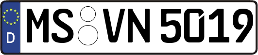 MS-VN5019