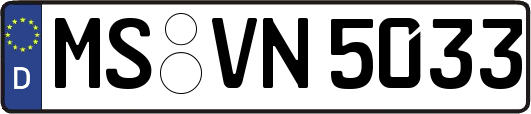 MS-VN5033