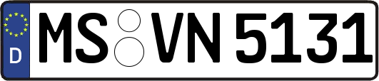 MS-VN5131