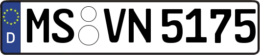MS-VN5175