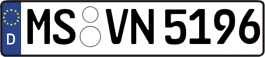 MS-VN5196