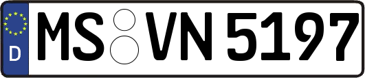 MS-VN5197