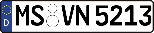 MS-VN5213