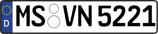 MS-VN5221