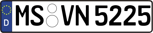 MS-VN5225
