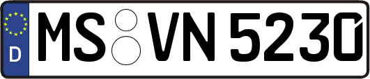 MS-VN5230