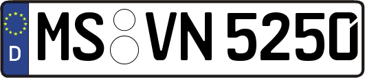 MS-VN5250