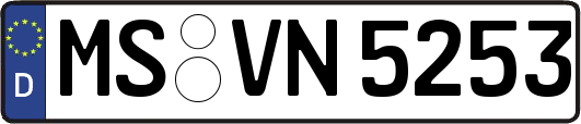 MS-VN5253