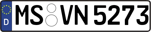 MS-VN5273