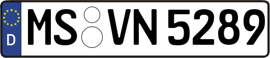 MS-VN5289