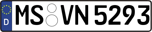 MS-VN5293
