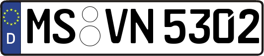 MS-VN5302