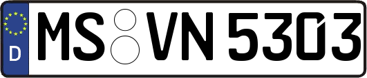 MS-VN5303