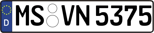 MS-VN5375