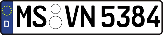 MS-VN5384