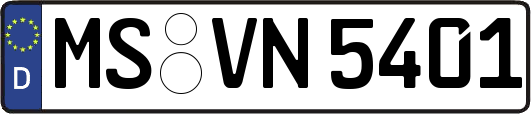 MS-VN5401