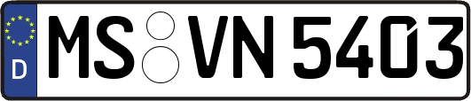 MS-VN5403