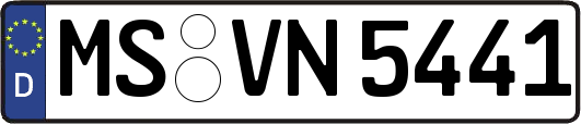 MS-VN5441