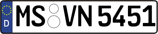 MS-VN5451