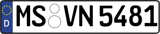 MS-VN5481