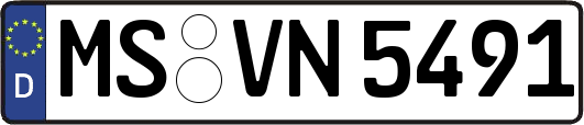 MS-VN5491