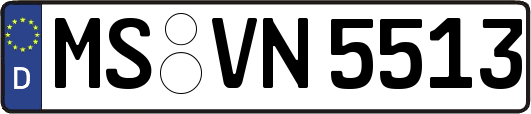 MS-VN5513