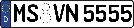 MS-VN5555