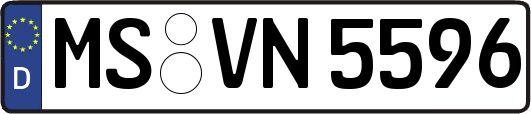MS-VN5596