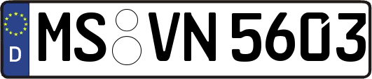 MS-VN5603