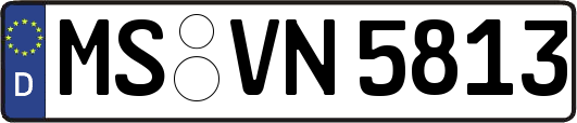 MS-VN5813