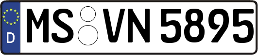 MS-VN5895