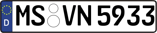MS-VN5933