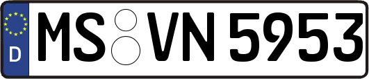 MS-VN5953