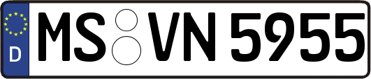 MS-VN5955