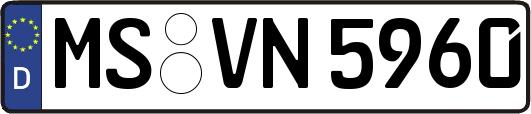 MS-VN5960