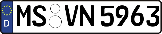MS-VN5963